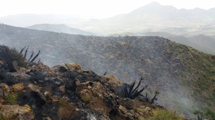 Infoca trabaja en la extinción de un incendio declarado en Níjar