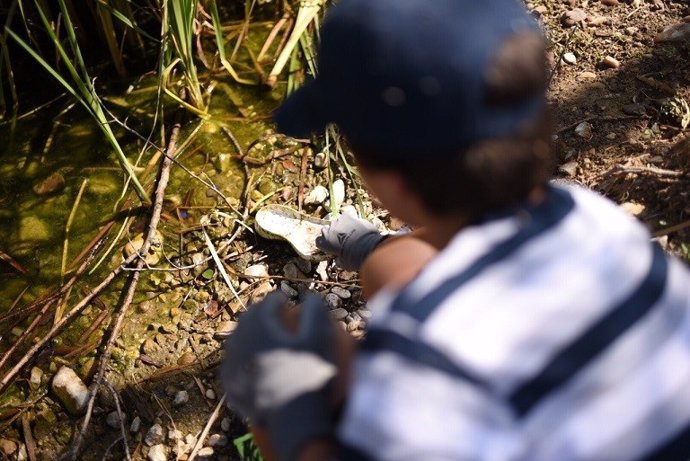 Recogida de basuraleza en el proyecto LIBERA de Ecoembes y SEO/BIRDlIFE