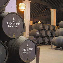 Bodega Tio Pepe 