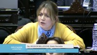 Una diputada argentina compara el aborto legal con "las perritas embarazadas"