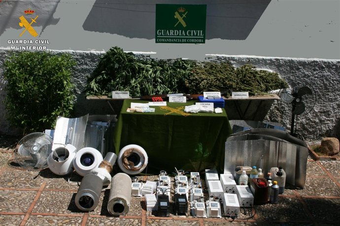 Material intervenido