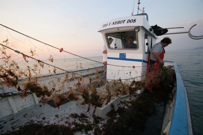 Un pesquero en el mar