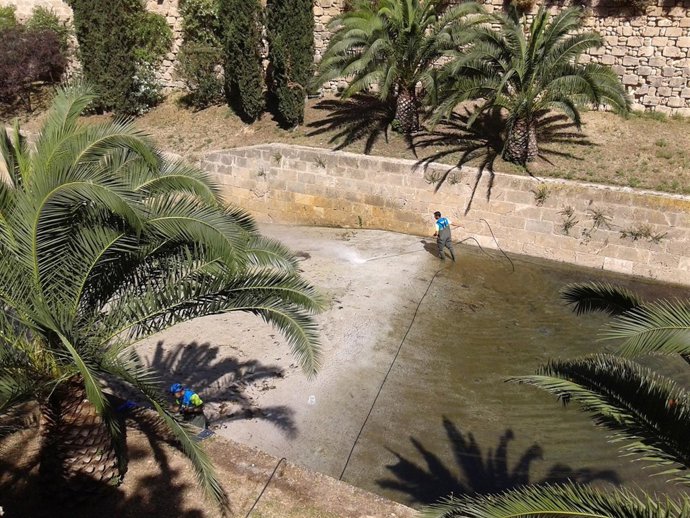 Limpieza del torrente de Sa Riera