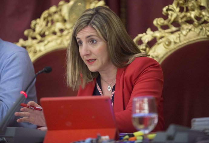 La presidenta de la Diputación de Cádiz, Irene García