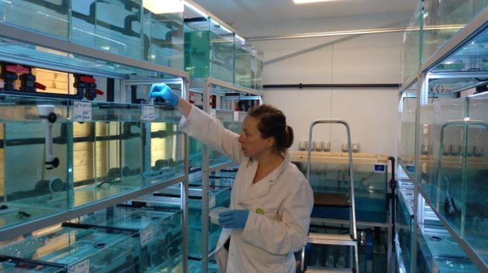 Instal·lacions del Centri de Fauna del Pont de Suert