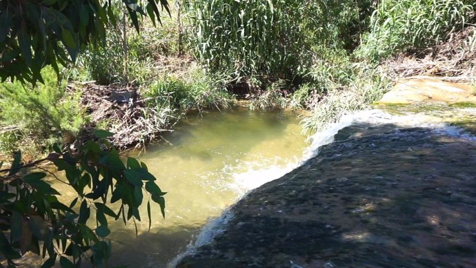 Río arroyo vegetación PP pide despejar los cauces