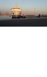 Comienzan a desembarcar los primeros inmigrantes del Dattilo