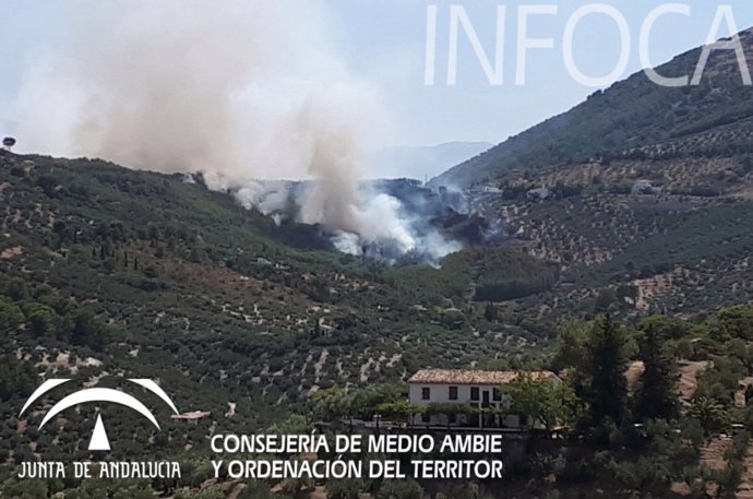 Incendio en el paraje El Portichuelo de los Villares el domingo