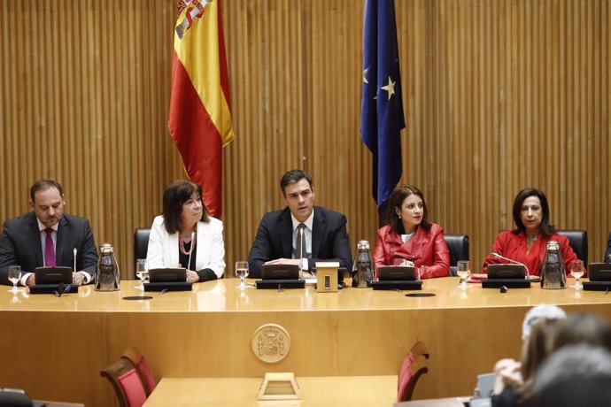 Sánchez interviene en la reunión plenaria del Grupo Parlamentario Socialista