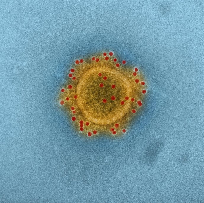 MERS, coronavirus