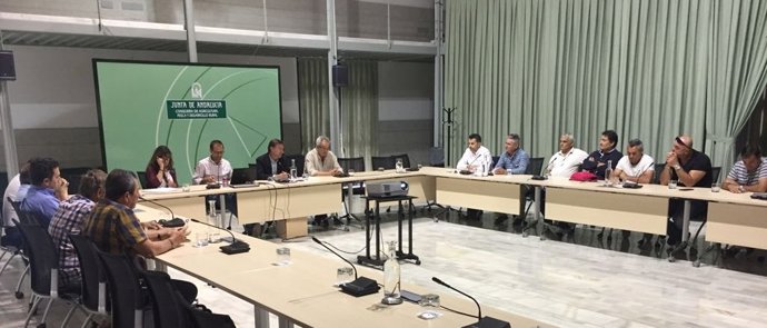 Reunión entre la Junta y el sector de la chirla. 