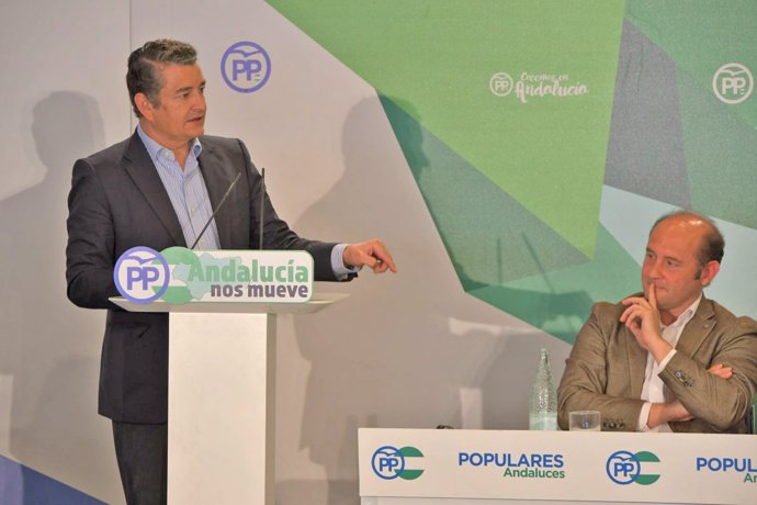 El presidente del PP de Cádiz, Antonio Sanz