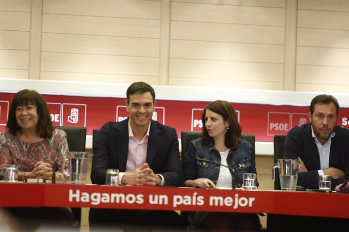 Pedro Sánchez preside la reunión de la Comisión Permanente del PSOE