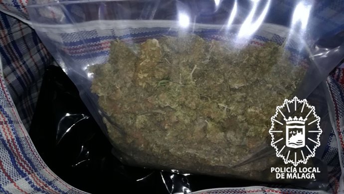 Marihuana decomisada 