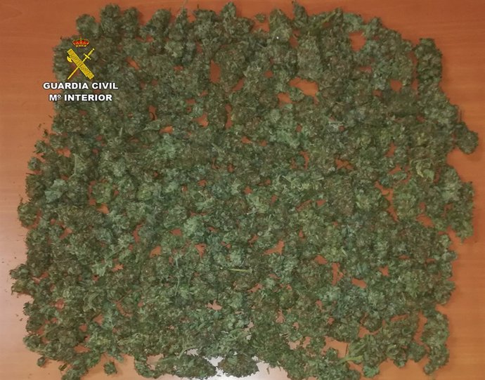 Dteenciones tráfico de drogas