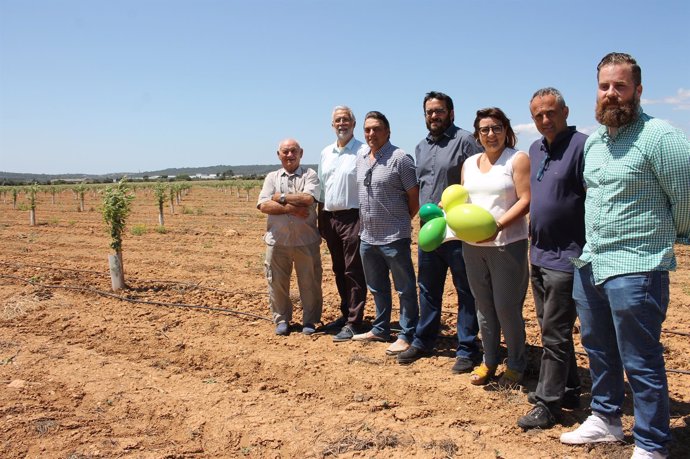 Vidal y Busquets presentan las ayudas a la replantación de árboles