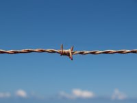 Colombia, Venezuela y Centroamérica, los peor posicionados en materia de desplazados y solicitantes de asilo