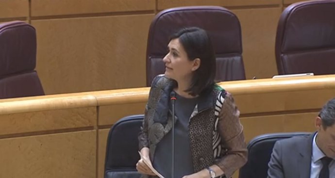 La ministra de Sanidad, Carmen Montón, en el Senado