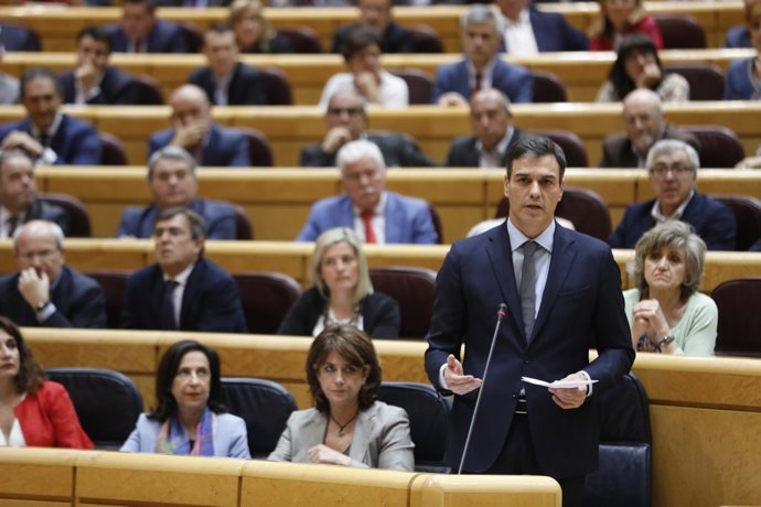 Pedro Sánchez en el Senat 