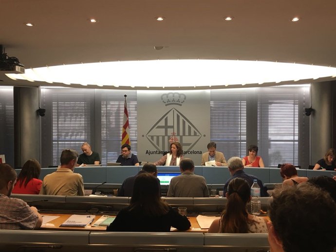 Comissió extraordinària de Presidència, Drets de Ciutadania i Participació