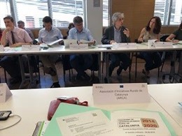Oriol Anson, durant la seva intervenció en la reunió del comitè