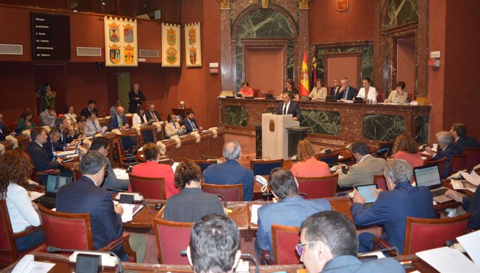 Diputados y el consejero Valverde en la Asamblea Regional