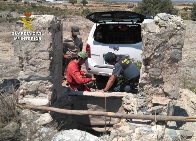 Rescatado de un perro que había caído en un pozo de 30 metros de profundidad 