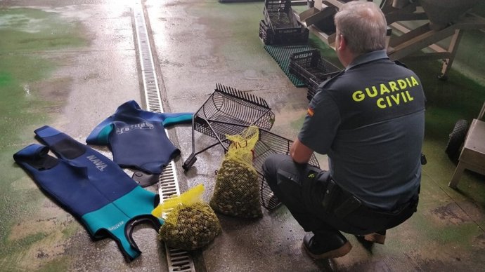 Detenido un furtivo cuando marisqueaba sin autorización en Narón (A Coruña).