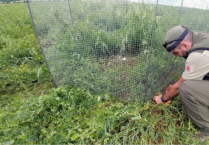 Colocación del mecanismo de protección