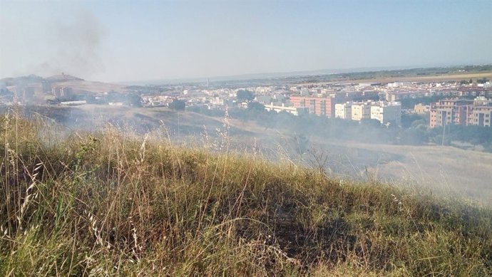 Pastos quemados en la ladera del Carambolo