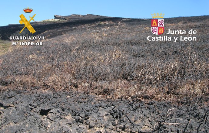 Burgos.- Terreno afectado por el incendio
