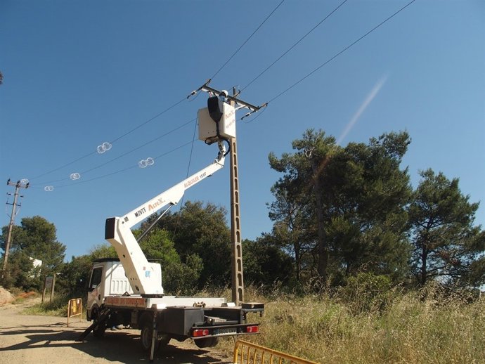 Els treballs a la Serra de Collserola forma part d'un pla de 37 operacions