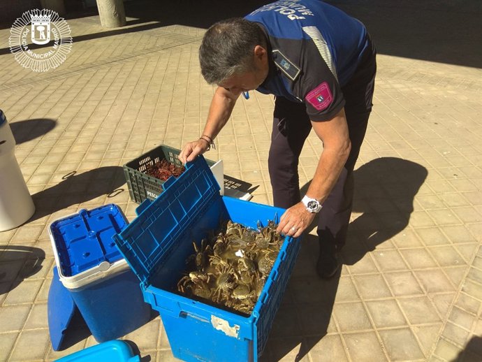 Cangrejos chinos en Usera
