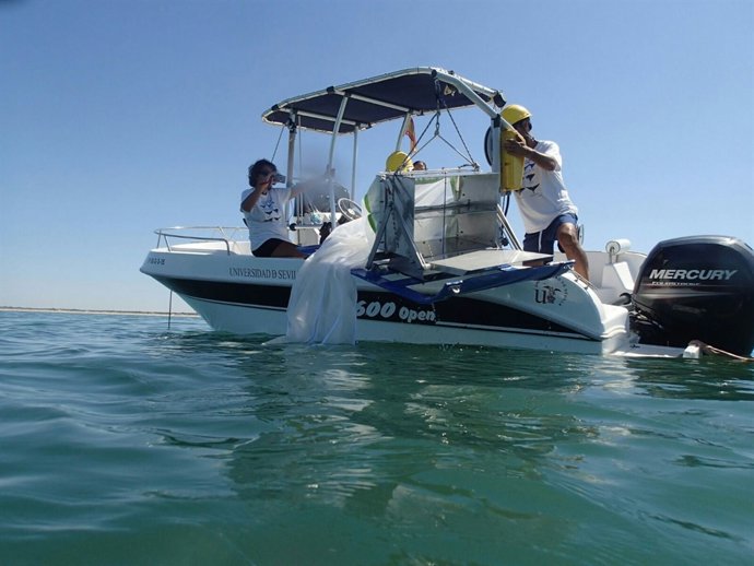 Diseñan nuevo índice para medir condiciones ambientales de masas de agua