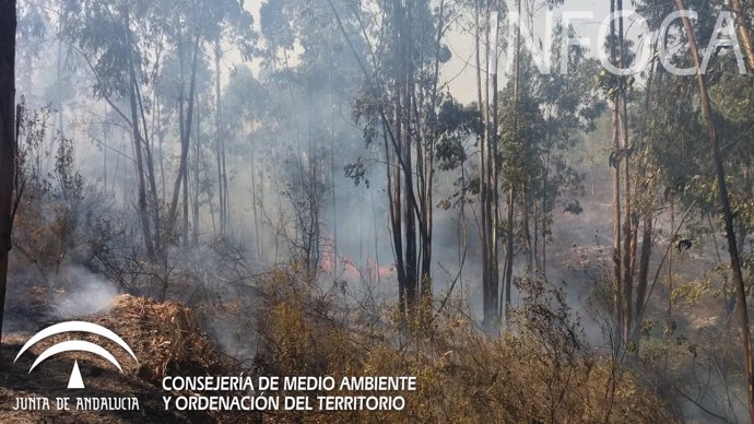 Incendio forestal en Huelva