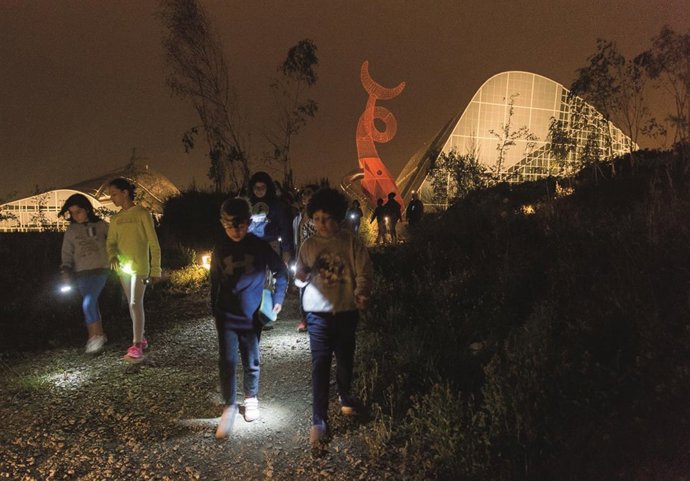 Niños participan en acampadas en la Cidade da Cultura