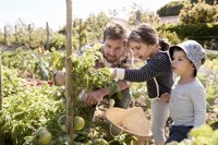 Planes para el verano: ideas para no pasar tiempo en casa