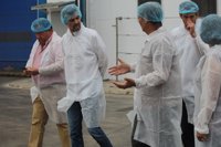 IU pide a la UE que "haga suya" la defensa de la aceituna en contra de los aranceles impuestos por EEUU