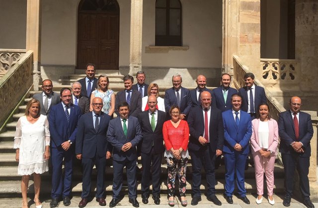 Comisión de Diputaciones, Cabildos y Consejos Insulares de la FEMP.