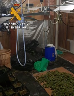 Marihuana intervenida en Gójar (Granada)