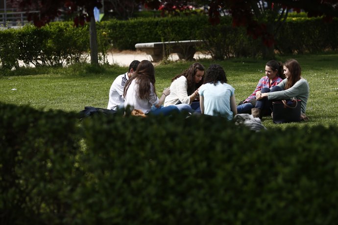Universitat, alumnes, estudiants, estudis, matrícula, universitaris, classes
