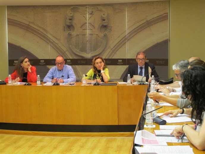 Martín comparece en el Parlamento                                