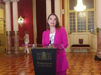 El PP considera "una falta de respeto" que Cladera "se limita a pedir disculpas" a los opositores y pide su "dimisión"