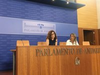 Podemos avisa de que la tramitación del Presupuesto andaluz para 2019 puede "encerrar un adelanto electoral"
