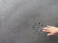 Una juez de EEUU da un plazo de 30 días a para reunificar a las familias separadas en la frontera