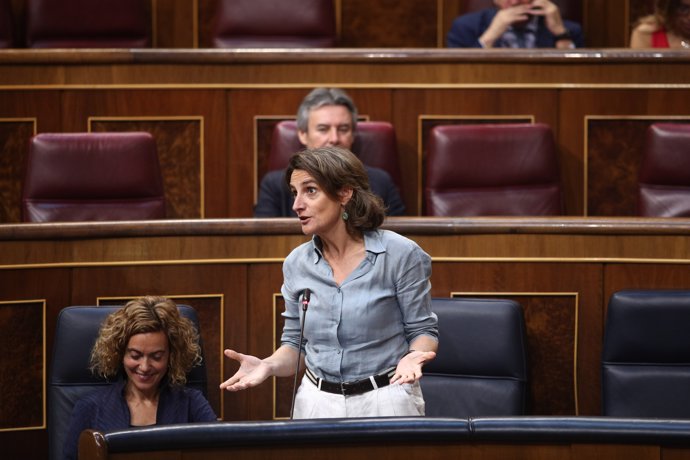 Teresa Ribera interviene en la sesión de control al Gobierno en el Congreso