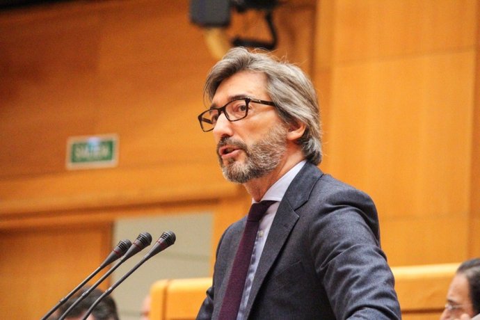 Iñaki Oyarzábal en el Pleno del Senado (foto archivo)