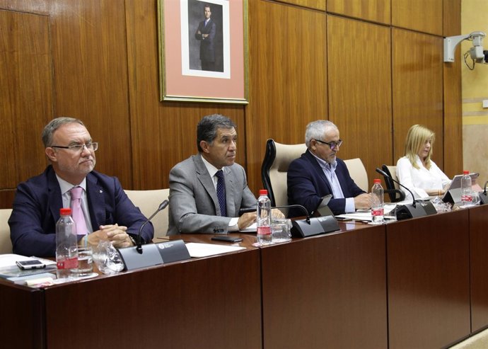El presidente del TSJA, Lorenzo del Río, comparece en comisión parlamentaria