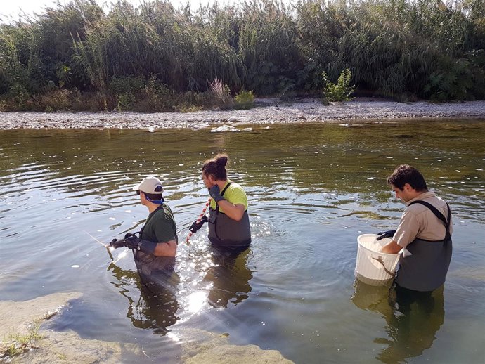Investigadores en el río Serpis