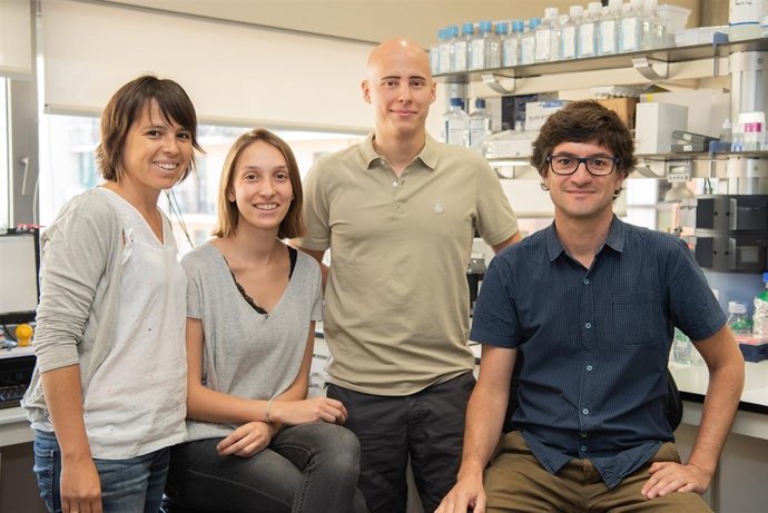 Mar Coll, Julia Vallverdú, Luis Perea y Pau Sancho-Bru.